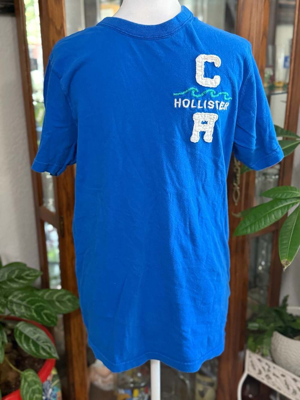 Hollister California Graphic Applique Crewneck T-Shirt